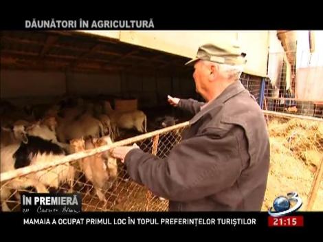 În premieră: România și-a vândut pământul! Am permis exporturi fără limită şi fără control