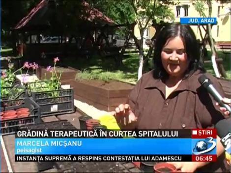 Grădină terapeutică în curtea spitalului