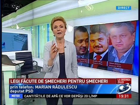 La Ordinea Zilei: Ce spune deputatul PSD, Marian Rădulescu, despre legea care permite tăierea integrală a pădurilor