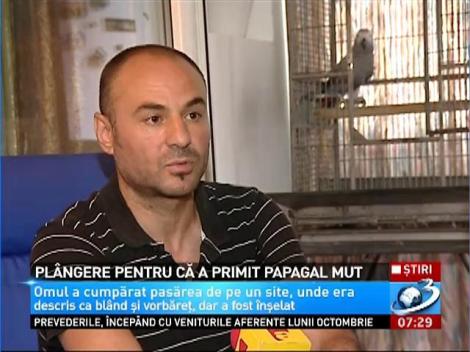 Pl&acirc;ngere pentru că a primit un papagal mut