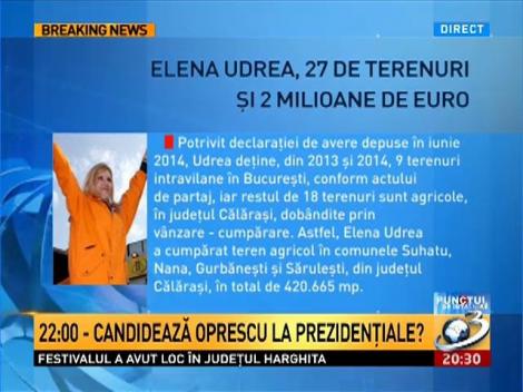 Elena Udrea, 27 de terenuri si 2 milioane de euro