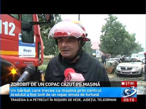 Arad: Un bărbat a fost zdrobit de un copac căzut pe maşină