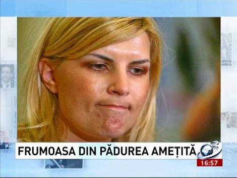 Deziluzia Optică: Frumoasa din pădurea ameţită