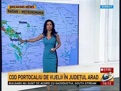 COD PORTOCALIU de vijelii &icirc;n judeţul Arad