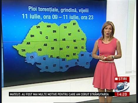 COD PORTOCALIU de vijelii &icirc;n Moldova