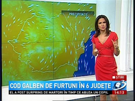 COD GALBEN de furtuni in 6 judete