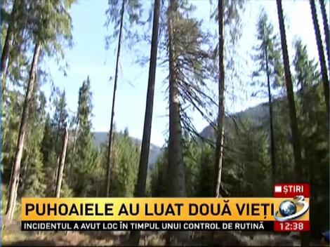 C&acirc;ţi bani a pierdut statul din cauza defrişărilor provocate de inundaţii