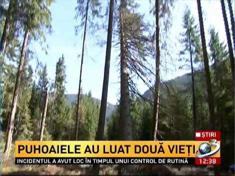 Câţi bani a pierdut statul din cauza defrişărilor provocate de inundaţii