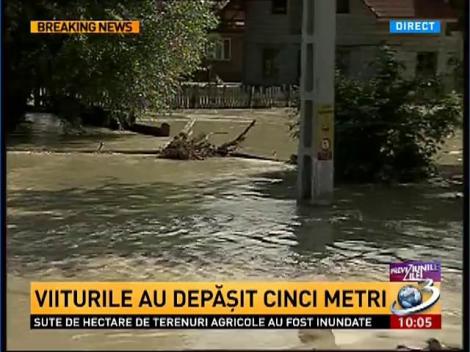 Pericolul nu a trecut în Novaci! Imagini cu furia râului Gilort