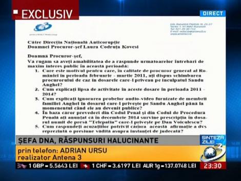 Şefa DNA, răspunsuri halucinante