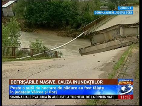 Defrişările masive, cauza inundaţiilor