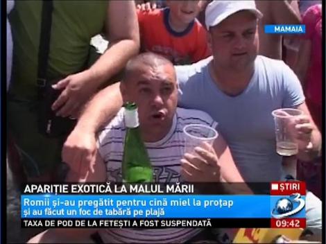 Apariţie neaşteptată la malul mării, la Mamaia. Turiştilor nu le-a venit să creadă cine se aşează l&acirc;ngă ei