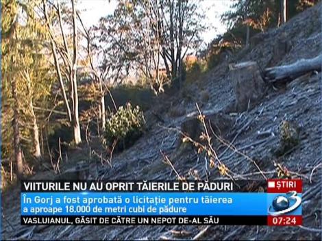 Blestemul inundaţiilor nu i-a &icirc;nvăţat nimic. &Icirc;n Gorj vor mai fi TĂIAŢI &icirc;ncă 20.000 de metri cubi de lemn