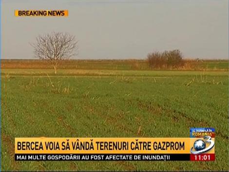 Bercea voia să intre &icirc;n afaceri cu Gazprom
