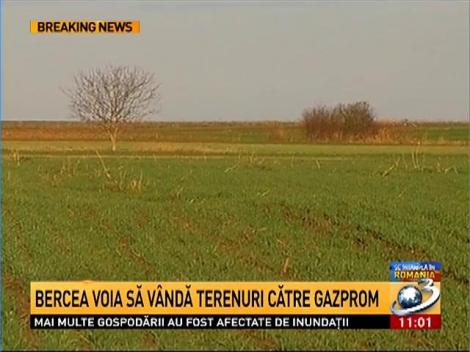 Bercea voia să intre în afaceri cu Gazprom