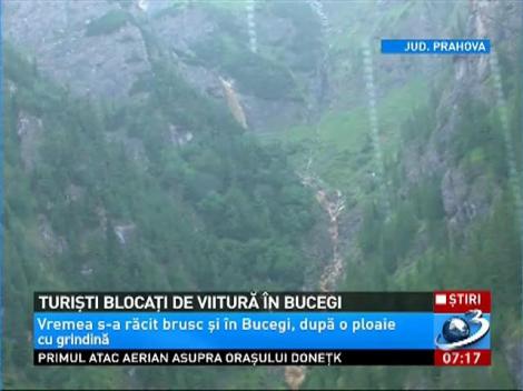 Fenomen STRANIU pe Platoul Bucegilor. Munţii au fost acoperiţi cu GHEAŢĂ de 10 centimetri