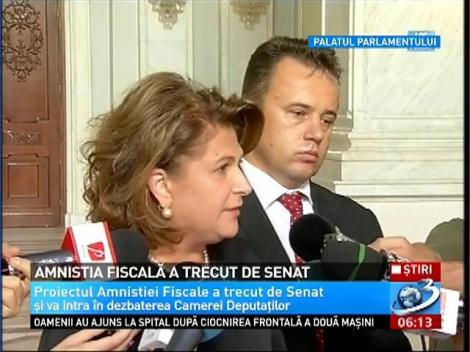 Amnistia Fiscală a trecut de Senat