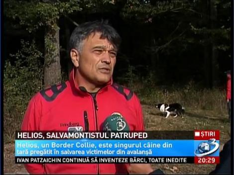 Helios, salvamontistul patruped