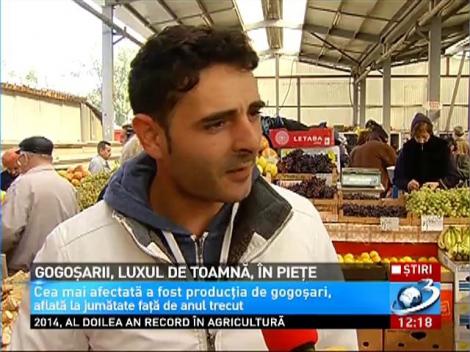 Gogoşarii, luxul de toamnă în pieţe