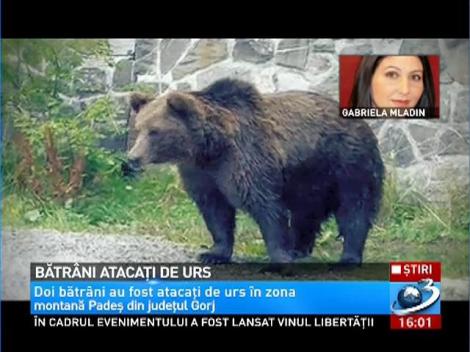 Bătr&acirc;ni ATACAŢI DE URS &icirc;n judeţul Gorj