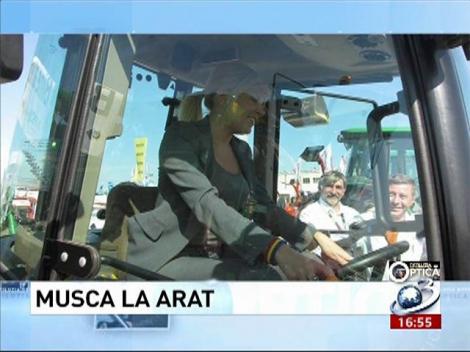 Deziluzia optică: Musca la arat