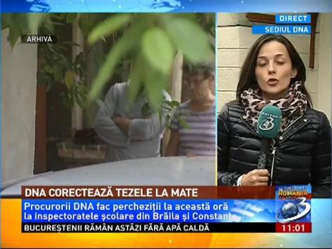 DNA corectează tezele la mate