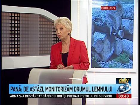 Exclusiv! Ministrul Doina Pană, despre cum pot fi oprite defrişările şi ce se modifică &icirc;n noul Cod Silvic