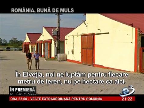 În Premieră: Cum renunţă România la hrana cea de toate zilele