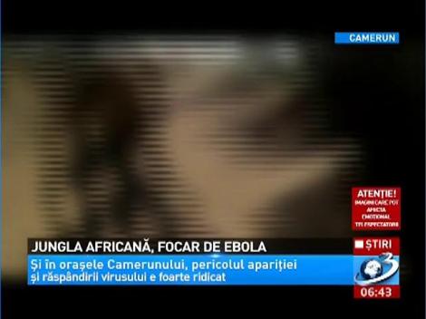 Jungla africană, focar de Ebola