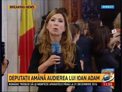 Deputaţii amână audierea lui Ioan Adam, în dosarul retrocedărilor ilegale