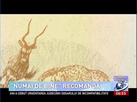 TIMP LIBER: Recomandările "Numai de bine" pentru acest sfârşit de săptămână