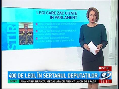 400 de legi, &icirc;n sertarul deputaţilor