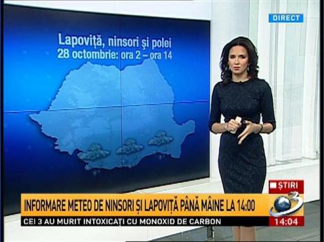 Informare meteo de NINSOARE şi LAPOVIŢĂ &icirc;n Oltenia şi Muntenia
