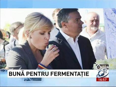 Deziluzia Optică: Bună pentru fermentaţie