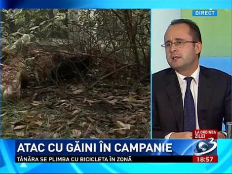 La Ordinea Zilei: Atac cu găini în curtea sediului ACL, în campanie