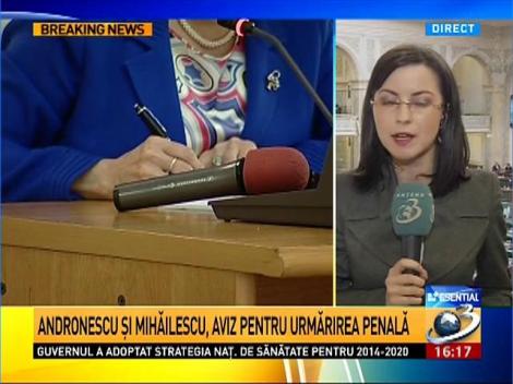 Ecaterina Andronescu şi Şerban Mihăilescu, aviz pentru urmărirea penală