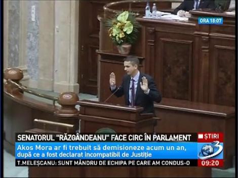 Senatorul "Răzg&acirc;ndeanu" face circ &icirc;n Parlament