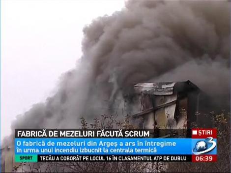 Fabrică de mezeluri făcută scrum