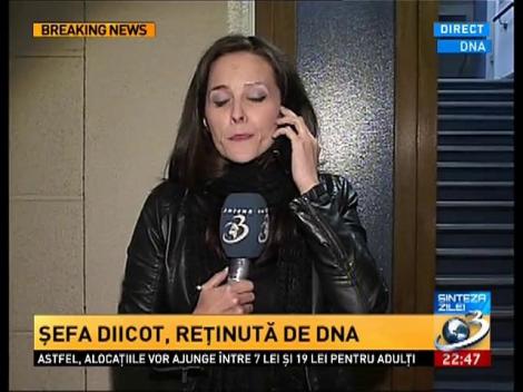 Alina Bica, reţinută pentru 24 de ore