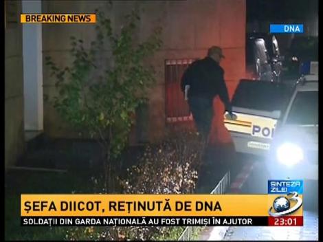 Imagini cu Alina Bica &icirc;ncătuşată