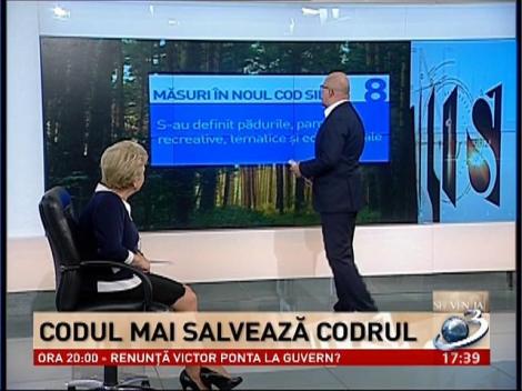 Secvenţial. 10 măsuri pentru noul Cod Silvic