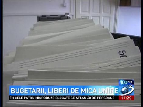 Bugetarii, liber de Mica Unire