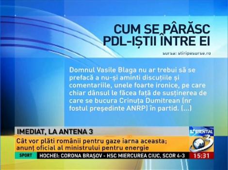 Udrea &icirc;i ameninţă pe foştii şefi din PDL cu dezvăluiri despre ilegalităţile comise de protejaţii lor