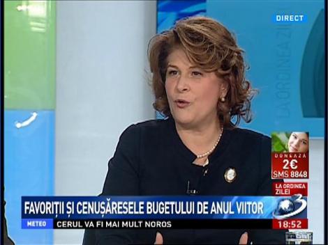 Rovana Plumb, despre bugetul pentru 2015