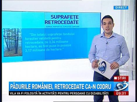 Pădurile Rom&acirc;niei, retrocedate ca-n codru