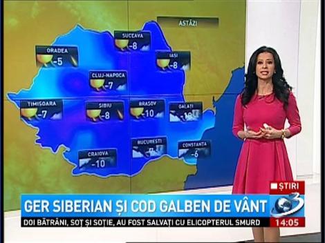 Ger siberian şi COD GALBEN de v&acirc;nt