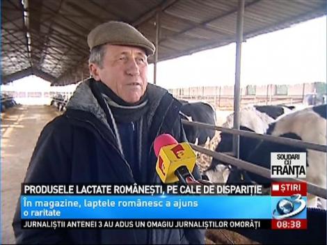 Produsele lactate româneşti, pe cale de dispariţie