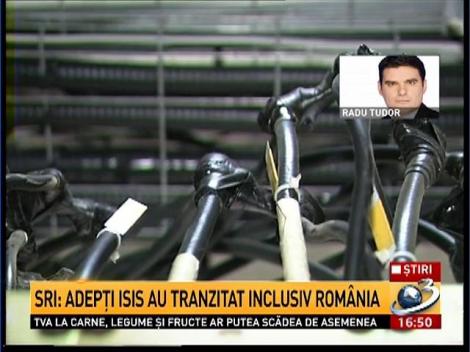 SRI confirmă: Adepţi ai grupării Statul Islamic au tranzitat România spre şi dinspre Siria