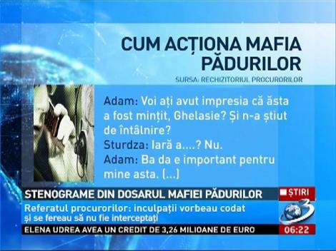 Stenograme din dosarul mafiei pădurilor