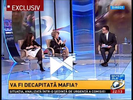 Adina Anghelescu, despre Elena Udrea